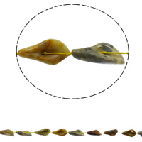 Naturlig Galen agat pärlor, Leaf, 16x28x8mm, Hål:Ca 1mm, Ca 12PC/Strand, Såld Per Ca 16.5 inch Strand