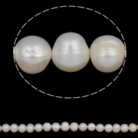 Perlas Patata Freshwater, Perlas cultivadas de agua dulce, natural, Blanco, 12-15mm, agujero:aproximado 0.8mm, Vendido para aproximado 15.7 Inch Sarta