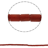 Natural Coral Beads, Tube, red, 4x6mm, Hole:Approx 1mm, Approx 76PCs/Strand, Sold Per Approx 16 Inch Strand