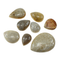 Pedra crisântemo natural cabochão, naturais, traseira plana & misto, 17-36x23-46.5x8-10mm, 5PCs/Lot, vendido por Lot
