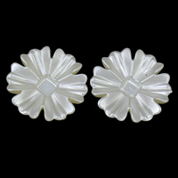 ABS-Kunststoff-Perlen Cabochon, Blume, flache Rückseite, weiß, 22x6mm, ca. 500PCs/Tasche, verkauft von Tasche