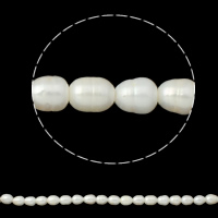 Riso coltivato in perla d'acqua dolce, perla d'acquadolce coltivata naturalmente, naturale, bianco, 11-12mm, Foro:Appross. 2.5mm, Venduto per Appross. 15 pollice filo