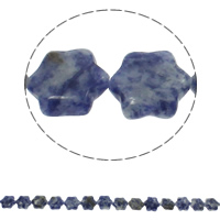 Blauer Tupfen Stein Perlen, blauer Punkt, Blume, natürlich, 13x15x5mm, Bohrung:ca. 1.5mm, ca. 28PCs/Strang, verkauft per ca. 15.7 ZollInch Strang