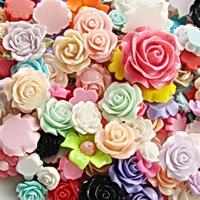 Fashion Resin Cabochons mixed 15-25mm Sold By Lot