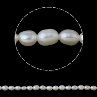 Riso coltivato in perla d'acqua dolce, perla d'acquadolce coltivata naturalmente, naturale, bianco, 4-5mm, Foro:Appross. 0.8mm, Venduto per Appross. 15 pollice filo