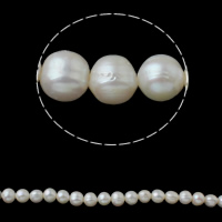 Perlas Patata Freshwater, Perlas cultivadas de agua dulce, natural, Blanco, 8-9mm, agujero:aproximado 0.8mm, Vendido para aproximado 15 Inch Sarta