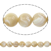 Top Shell Bead, Runde, naturlig, forskellig størrelse for valg, Længde Ca. 15 inch, Solgt af Lot