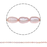 Cultured Rice Freshwater Pearl Beads, natural, purple, Grade A, 3-4mm, Hole:Approx 0.8mm, Sold Per 15.7 Inch Strand