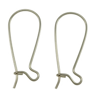 Stainless Steel Kidney Earwires, original color, 12x25x0.70mm, 2000PCs/Lot, Sold By Lot