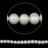 Perlas Redondas Freshwater, Perlas cultivadas de agua dulce, Esférico, natural, Blanco, 9-10mm, agujero:aproximado 0.8mm, Vendido para aproximado 15.3 Inch Sarta
