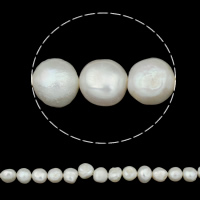 Barock odlad sötvattenspärla pärlor, Freshwater Pearl, vit, Grade A, 11-12mm, Hål:Ca 0.8mm, Såld Per Ca 14.5 inch Strand