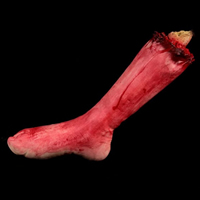 Gummi Fuß gebrochen Prop, Halloween Schmuck, 170x290mm, 2PCs/Menge, verkauft von Menge