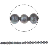 Runde ferskvandskulturperle Beads, Ferskvandsperle, naturlig, sort, 6-7mm, Hole:Ca. 0.8mm, Solgt Per 15 inch Strand