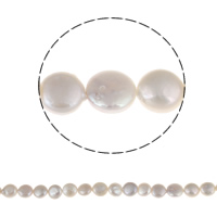 Pièce de culture des perles d'eau douce, perle d'eau douce cultivée, pièce de monnaie, naturel, blanc, 10-11mm, Trou:Environ 0.8mm, Vendu par Environ 15.7 pouce brin