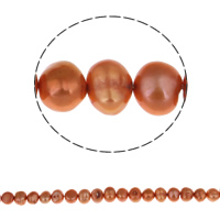Barocco coltivate in acqua dolce Perla, perla d'acquadolce coltivata naturalmente, arancione rossastro, 8-9mm, Foro:Appross. 0.8mm, Venduto per Appross. 14.2 pollice filo