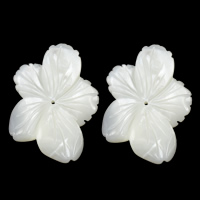 Natural White Shell Beads, Flower, 20-22x25-31x3.5mm, Hole:Approx 0.5mm, 10PCs/Lot, Sold By Lot