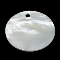 Colgantes de Nácar Blanco Natural, Nácar Blanca, Redondo aplanado, 41.50x41.50x2mm, agujero:aproximado 4.5mm, 2PCs/Grupo, Vendido por Grupo