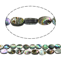 Abalone Shell Beads Flat Oval natural Sold By Lot