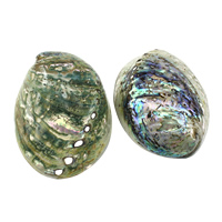 Abalone Shell Cabochon, naturlig, flere farver til valg, 92x125.50x36mm, 2pc'er/Lot, Solgt af Lot