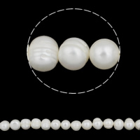 Perlas Redondas Freshwater, Perlas cultivadas de agua dulce, Esférico, Blanco, Grado A, 11-12mm, agujero:aproximado 0.8mm, Vendido para 14.3 Inch Sarta