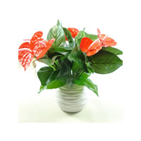 Kunstig blomst Home Decoration, Plastic, Leaf, 32cm, 10pc'er/Bag, Solgt af Bag