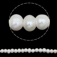 Cultured Potato Freshwater Pearl Beads natural white 11-12mm Approx 3mm Sold Per Approx 14.2 Inch Strand