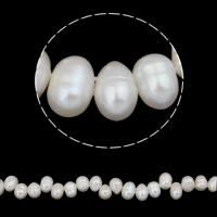 Riso coltivato in perla d'acqua dolce, perla d'acquadolce coltivata naturalmente, naturale, bianco, 6-7mm, Foro:Appross. 0.8mm, Venduto per Appross. 15 pollice filo