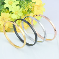 Titanium Steel Bangle Donut plated 4mm Inner Approx 59mm Length Approx 7 Inch Sold By Bag