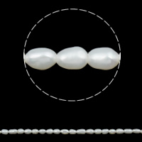 Perles d'eau douce de culture de riz, perle d'eau douce cultivée, naturel, blanc, 2-3mm, Trou:Environ 0.8mm, Vendu par Environ 15 pouce brin