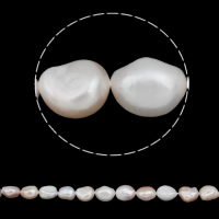 Barokní kultivované sladkovodní perle, Sladkovodní Pearl, Baroko, přírodní, multi-barevný, 12-13mm, Otvor:Cca 0.8mm, Prodáno za Cca 15.5 inch Strand