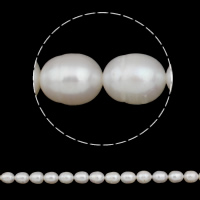 Perlas Arroz Freshwater, Perlas cultivadas de agua dulce, natural, Blanco, 10-11mm, agujero:aproximado 0.8mm, Vendido para aproximado 15 Inch Sarta