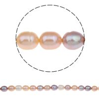 Perlas Arroz Freshwater, Perlas cultivadas de agua dulce, natural, multicolor, 10-11mm, agujero:aproximado 0.8mm, Vendido para aproximado 15 Inch Sarta