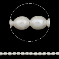 Riso coltivato in perla d'acqua dolce, perla d'acquadolce coltivata naturalmente, naturale, bianco, 11-12mm, Foro:Appross. 2mm, Venduto per Appross. 15 pollice filo