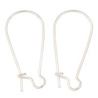 Iron Hook Earwire, silver color plated, lead & cadmium free, 8x16x3mm, 5000PCs/Bag, Sold By Bag