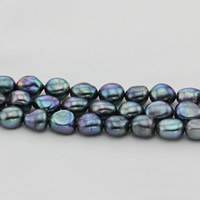 Barok ferskvandskulturperle Beads, Ferskvandsperle, mørklilla, 10mm, Hole:Ca. 0.8mm, Solgt Per Ca. 15 inch Strand