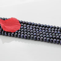Tlačítko kultivované sladkovodní Pearl Beads, černý, 9mm, Otvor:Cca 0.8mm, Prodáno za Cca 15.5 inch Strand