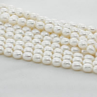 Perles d'eau douce de culture de riz, perle d'eau douce cultivée, naturel, blanc, 9-10mm, Trou:Environ 0.8mm, Vendu par Environ 15 pouce brin
