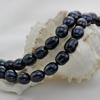 Cultured Rice Freshwater Pearl Beads, black, 10-11mm, Hole:Approx 0.8mm, Sold Per Approx 15 Inch Strand