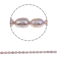 Perlas Arroz Freshwater, Perlas cultivadas de agua dulce, natural, Púrpura, 6-7mm, agujero:aproximado 0.8mm, Vendido para aproximado 14.5 Inch Sarta