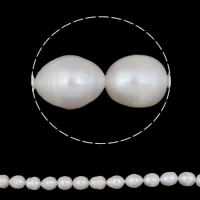 Riso coltivato in perla d'acqua dolce, perla d'acquadolce coltivata naturalmente, naturale, bianco, 11-12mm, Foro:Appross. 0.8mm, Venduto per Appross. 14.5 pollice filo