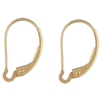 Gold Filled Lever Back Earring Wires 14K gold-filled nickel lead & cadmium free Sold By Pair