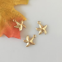 Gold Filled Extender Chain Drop, Starfish, 14K gold-filled, nickel, lead & cadmium free, 10x12.60mm, Hole:Approx 1.1mm, Sold By PC