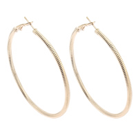 Iron Hoop Earring, gold color plated, nickel, lead & cadmium free, 58x62x3mm, Sold By Pair
