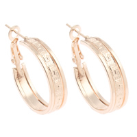 Iron Hoop Earring, gold color plated, nickel, lead & cadmium free, 24x30x5mm, Sold By Pair