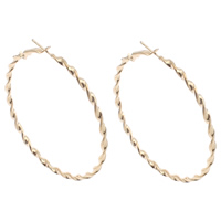 Iron Hoop Earring, gold color plated, nickel, lead & cadmium free, 59x62x3mm, Sold By Pair