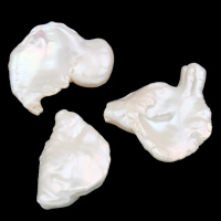 Perles nacres sans trou de culture d'eau douce, perle d'eau douce cultivée, baroque, naturel, aucun trou, blanc, 20-27mm, Vendu par PC