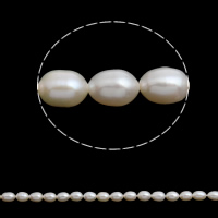 Riso coltivato in perla d'acqua dolce, perla d'acquadolce coltivata naturalmente, naturale, bianco, 5-6mm, Foro:Appross. 0.8mm, Venduto per Appross. 15.5 pollice filo