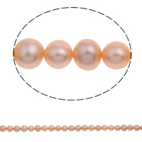 淡水養殖の真円真珠, 天然有核フレッシュウォーターパール, ラウンド形, 天然, ピンク, 7-8mm, 穴:約 0.8mm, で販売される 約 15.5 インチ ストランド