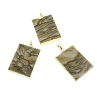 Picture Jasper Pendant with iron bail Rectangle gold color plated Approx Sold By Bag