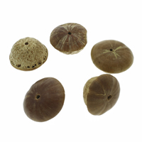 Perles de bouddhistes, Bodhi, couleur originale, 25x35mm-26x37mm, Trou:Environ 3mm, 100PC/sac, Vendu par sac